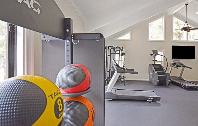 apartment fitness center with a TRAG wall mounted pull up bar