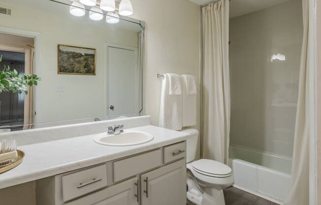 a bathroom with a sink and a toilet and a shower