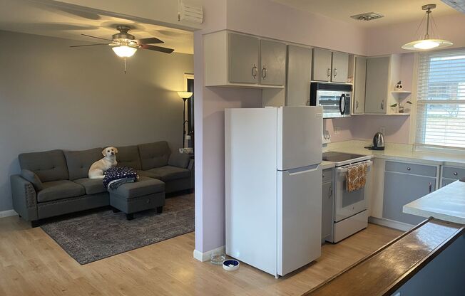 1 bed, 1 bath, $2,200