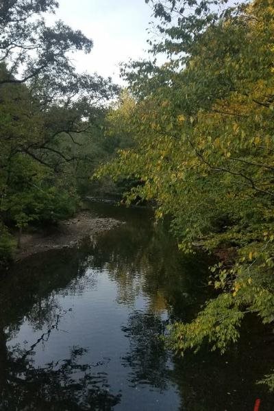 Wissahickon Creek