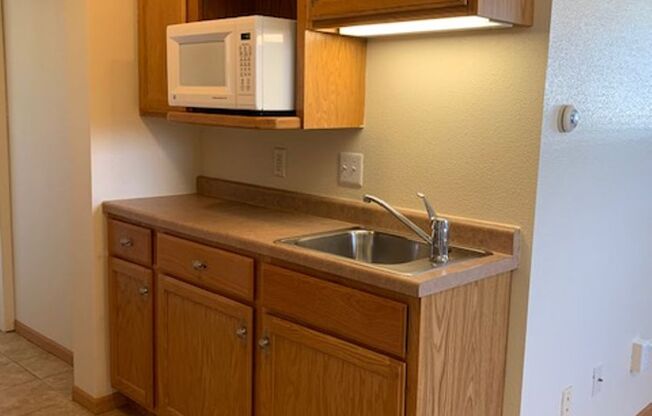 1 bed, 1 bath, 500 sqft, $925, Unit 3715-206