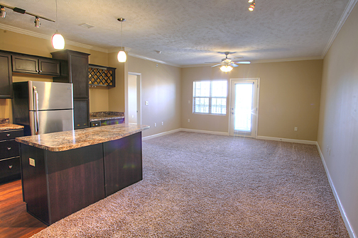 Gallery Photo 12