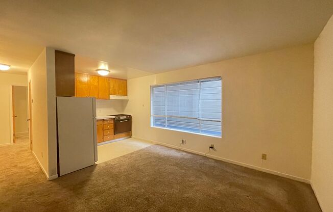 445 24th Avenue (1020r)