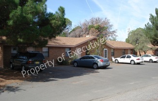 463 Salopek Blvd