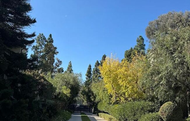 Renovated 2 Bedroom/ 1 Bathroom Condo Available in Culver City $2,600! *MOVE-IN SPECIAL*