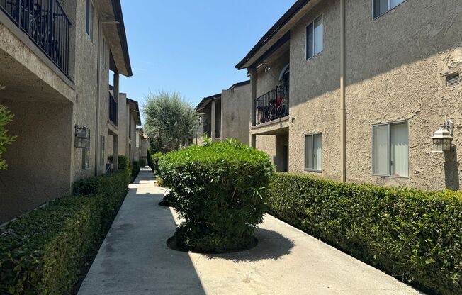 1 bed, 1 bath, 650 sqft, $1,800, Unit 105