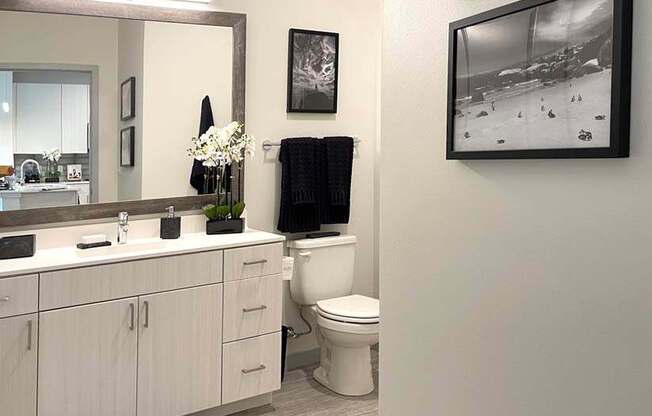 A bathroom with a toilet, sink, and mirror.