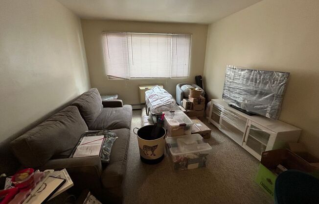 1 bed, 1 bath, $850, Unit 119