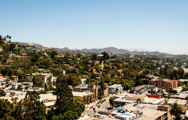 1 bed, 1 bath, 981 sqft, $3,250, Unit 101