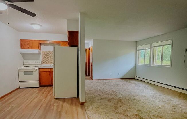 Beautiful Apartment in the Heart of Champlin, Minneapolis (Gas, Water & Trash Utilities Included!)