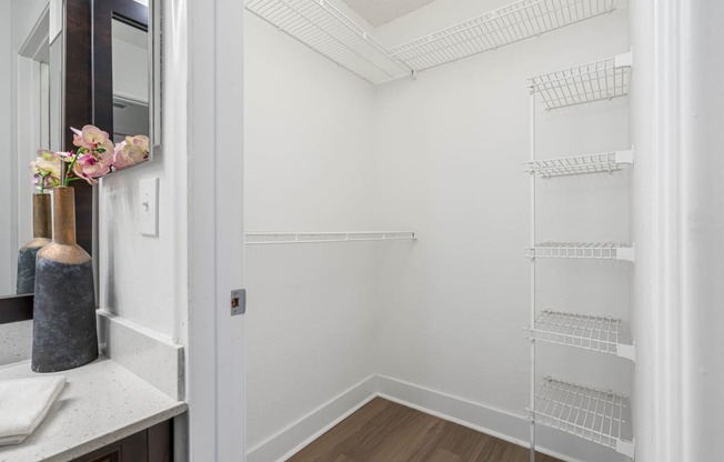 a bathroom with a sink and a mirror and a walk in closet