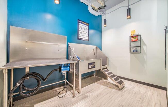 Pet Spa and grooming at The Baxly, Savannah, GA, 31401