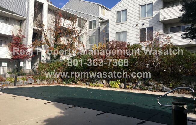 Charming 3 Bedroom 2 Bathroom Downtown Condo!