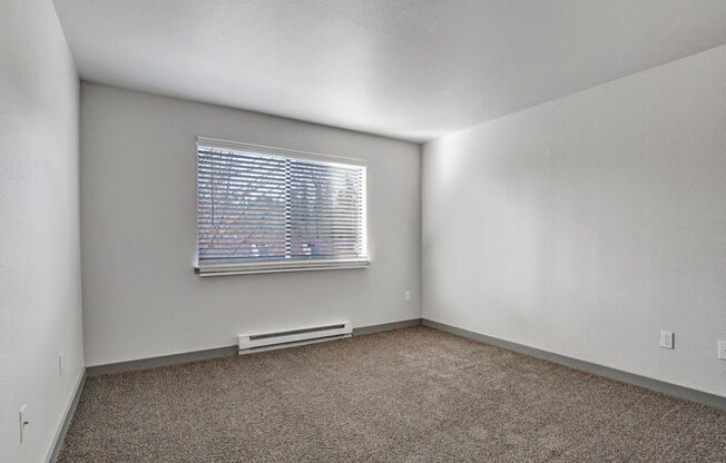 a bedroom with a window and a carpeted floor