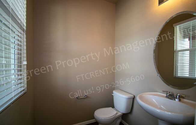 Spacious Home in Timnath Ranch Sub-Div!