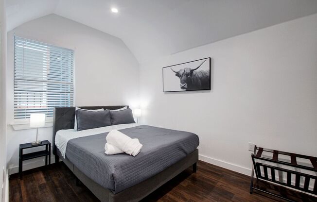 1 bed, 1 bath, 519 sqft, $1,100, Unit 402