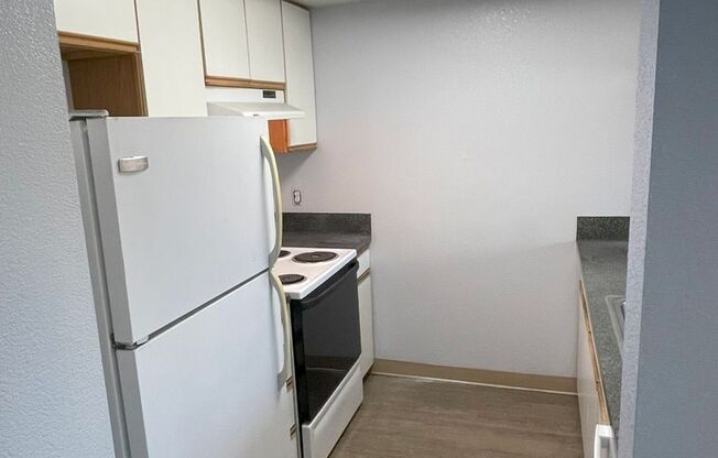 1 bed, 1 bath, 475 sqft, $1,950, Unit 501