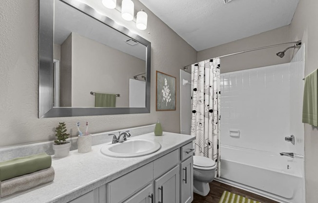 the preserve at ballantyne commons apartment bathroom with shower and sink and large mirror