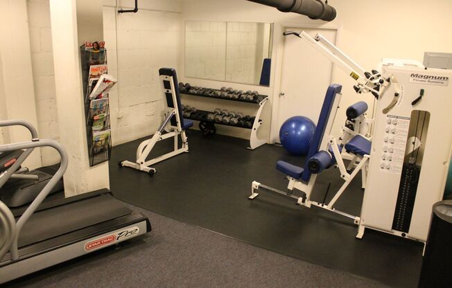 1 bed, 1 bath, 704 sqft, $2,475, Unit 117