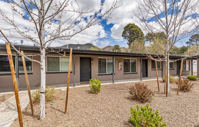 Beautiful Flagstaff Property. Newly Remodeled!