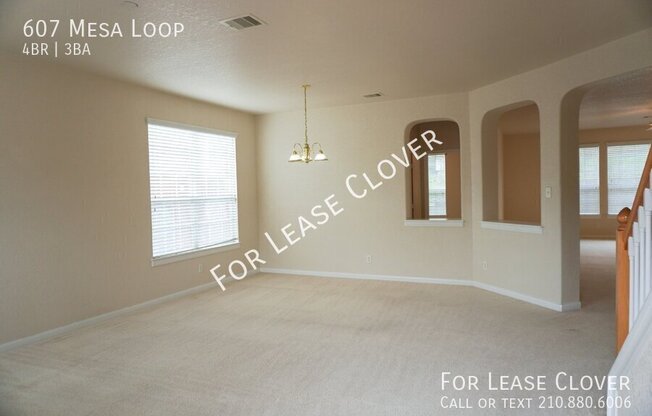 607 MESA LOOP