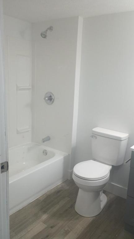 1 bed, 1 bath, $910