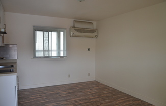 Studio, 1 bath, $2,383