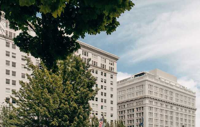 two buildings with trees in the foreground and a blue sky