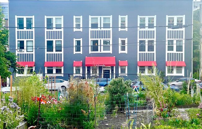 Studio, 1 bath, 315 sqft, $1,250, Unit 103