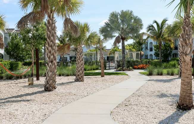 a walkway with palm trees and a house in the background