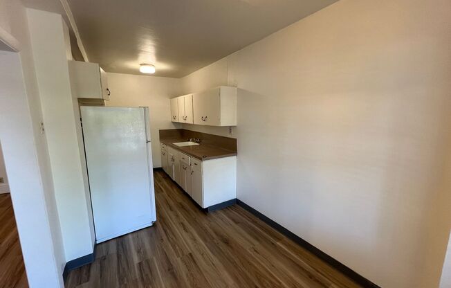 Studio, 1 bath, 305 sqft, $995, Unit 102