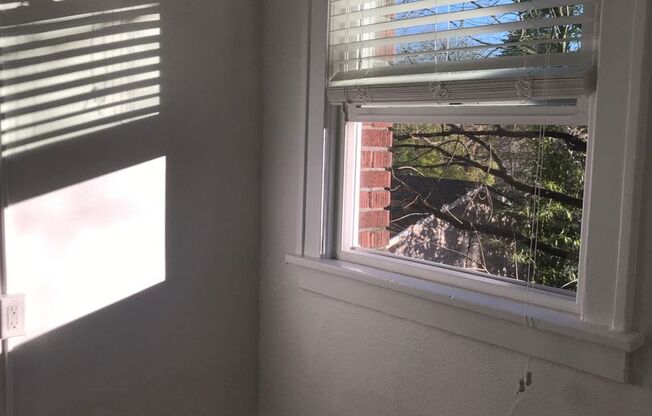 Studio, 1 bath, 310 sqft, $1,299, Unit 204