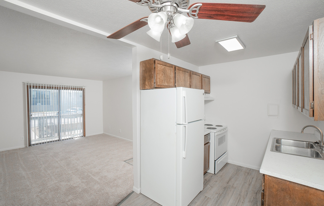 Kitchen and Living Area