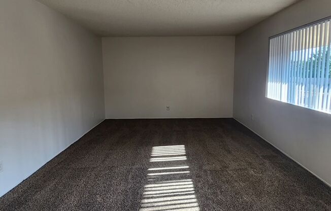 2102 Castro Lane #19 - Apartment
