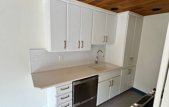1 bed, 1 bath, $3,000, Unit Unit 101