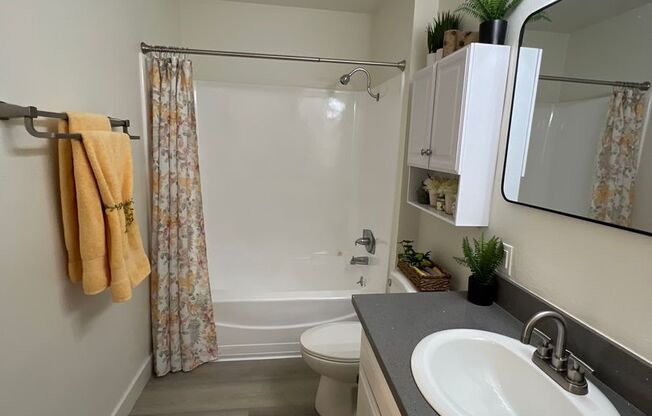 1 bed, 1 bath, 900 sqft, $2,172, Unit 381-18