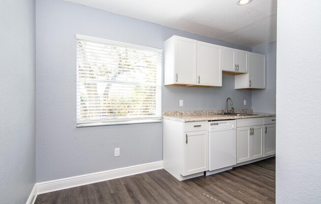 Newly Renovated and Remodeled - 2 Bedroom 1 Bath for Lease in Brandon, FL