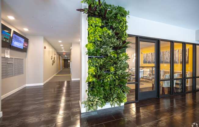 a living wall in the lobby of an office building
