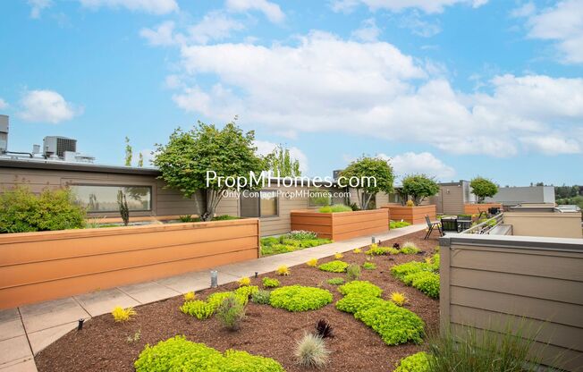 1 bed, 1 bath, $1,449, Unit 287 NE 3rd Street - 206