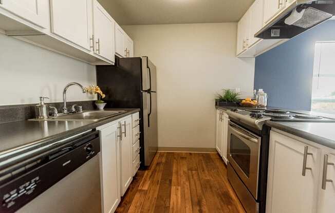 Renton Apartments - The Aviator Apartments - Kitchen