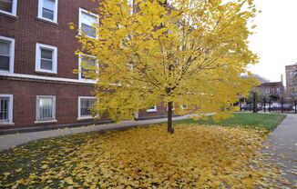 1 bed, 1 bath, 850 sqft, $1,600, Unit 4400-23