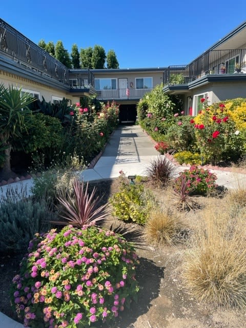 Courtyard for Colonial House Apartments San Jos