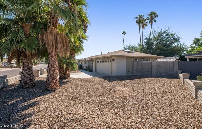 GORGEOUS PHOENIX MID-CENTURY ON A HUGE LOT!