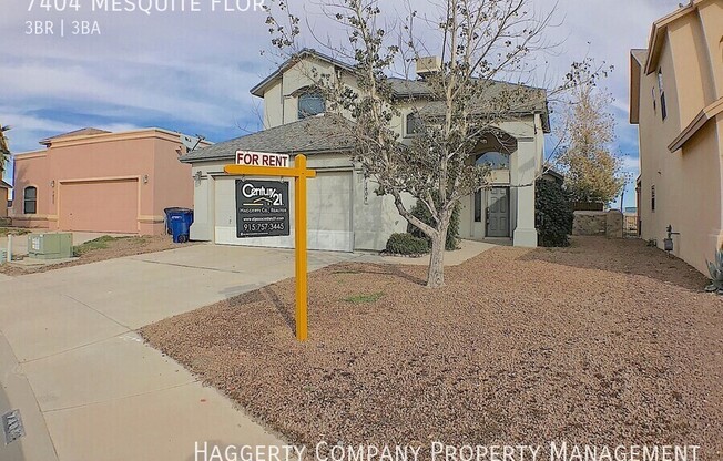 7404 MESQUITE FLOR