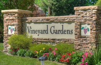 Vineyard Gardens