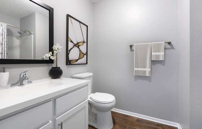 Reserve at Providence Apartment in Charlotte NC photo of bathroom with large vanity