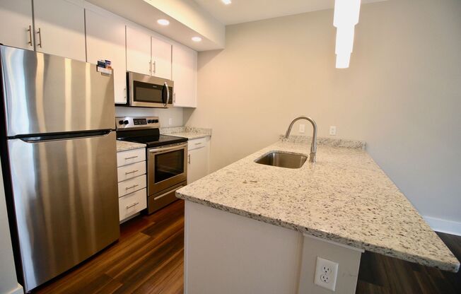 1 bed, 1 bath, 534 sqft, $1,495, Unit APT 420