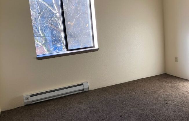 Studio, 1 bath, 683 sqft, $1,375, Unit 213