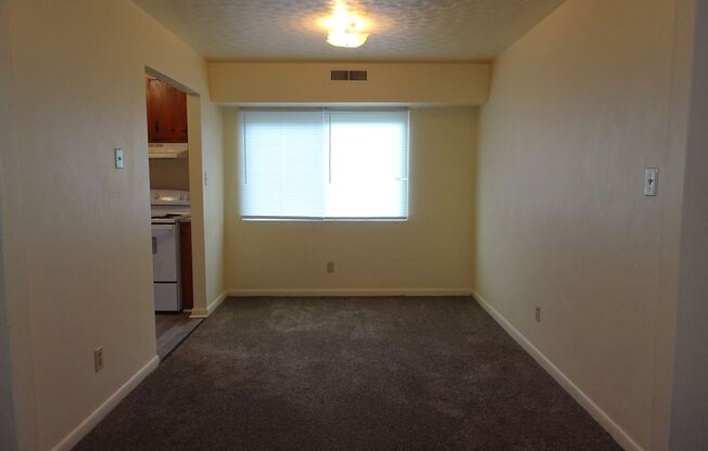 Newly Renovated 2 Beds 1 Bath Apartments in Parkview Newport News