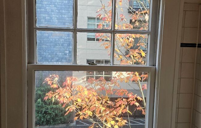 Studio, 1 bath, 337 sqft, $1,179, Unit 23